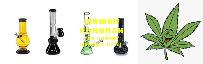 ГАЛЛЮЦИНОГЕННЫЕ ГРИБЫ Навашино