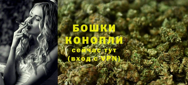ГАЛЛЮЦИНОГЕННЫЕ ГРИБЫ Навашино