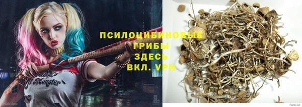 дживик Наволоки